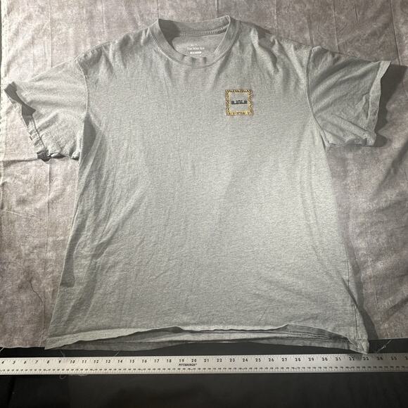 RARE Nike Mens Lebron James 'LBJ' Logo Loose Fit T-Shirt Gray DQ1881-063 XXL - Picture 1 of 6
